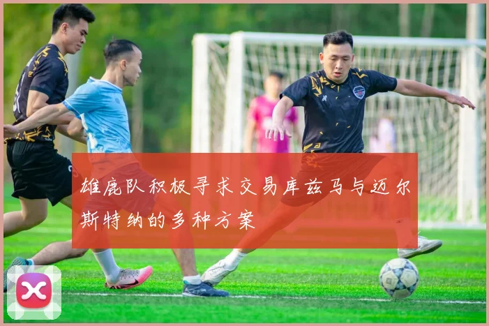 雄鹿队积极寻求交易库兹马与迈尔斯特纳的多种方案